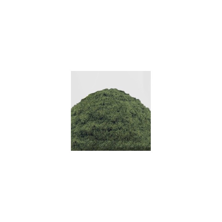 Herbe Statique 2-3mm- COUNTRYSIDE SCRUB - 200ml